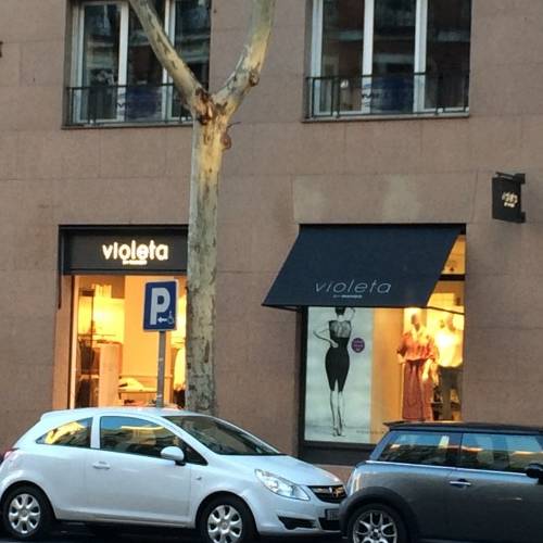 VIOLETA C/ VELAZQUEZ